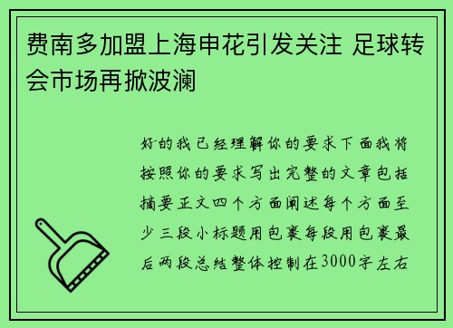 费南多加盟上海申花引发关注 足球转会市场再掀波澜