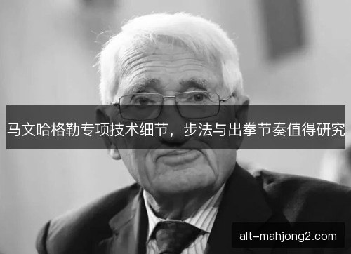 马文哈格勒专项技术细节，步法与出拳节奏值得研究